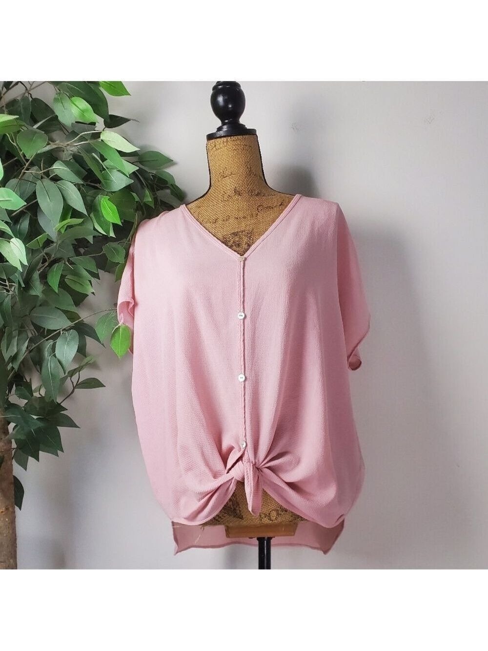 Hoity Toity Pastel Pink Sheer Button Up Blouse Medium